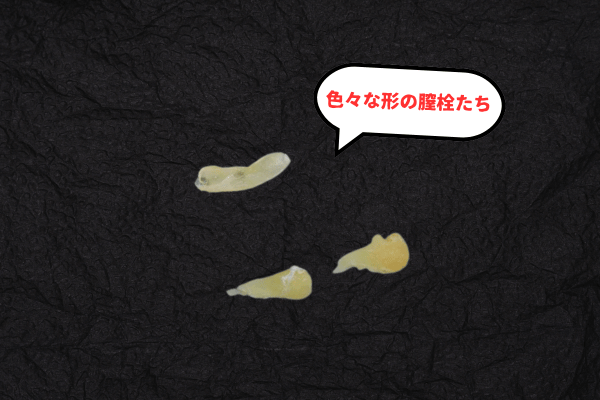 色々な種類の膣栓の画像