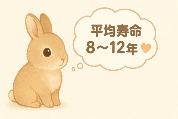 うさぎと平均寿命のイメージ画像