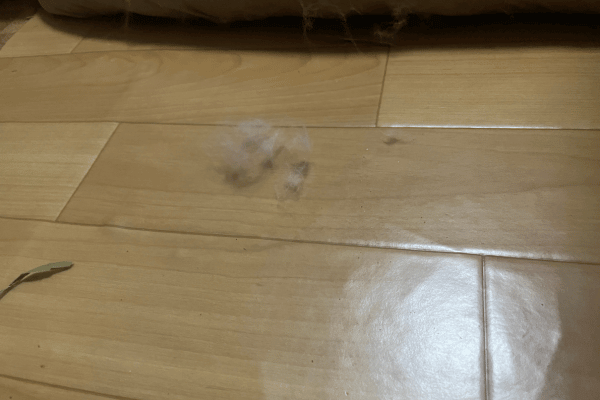 床にうさぎの毛やチモシーの屑が散乱している。