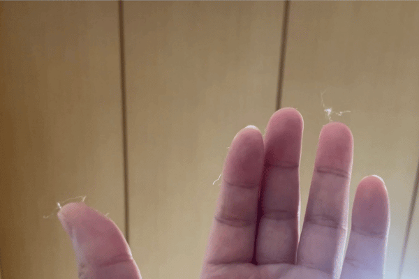 うさぎの毛がいつの間にか指にくっついている。